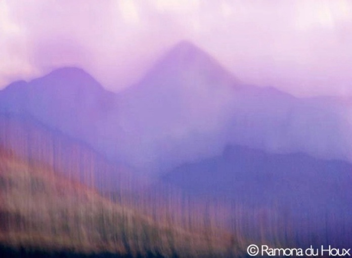 Purple Mts. Majasty